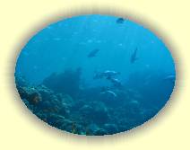 IMG_2007_05_29 15_47_06 * 3072 x 2304 * (517KB)